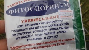 Моя первая осенняя посадка роз. Посылка с розами из питомника ЭЛИТ.