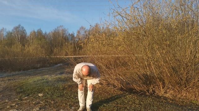 Благодарение Михаила Лапина 27 апреля 2020 года смотреть онлайн