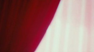 Suspicious Minds ( Elvis Presley) Marcus Nimbler