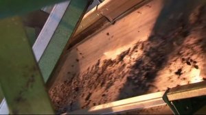 Переработка шин в крошку (безотходная). 3 тонны в час.