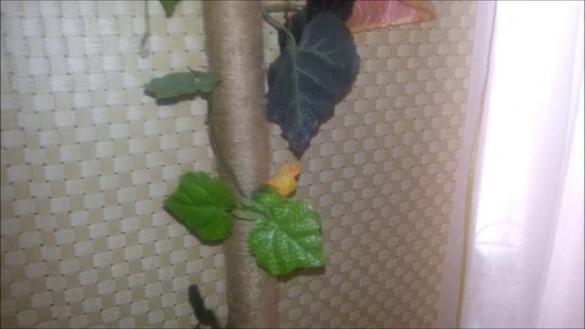 Пример декорирования трубы отопления смотреть онлайн