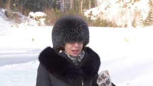 Вишневогорск