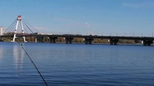 Рыбалка на Шексне/Череповец/