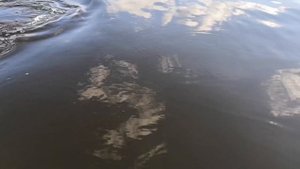 Ловля щуки на Каме
