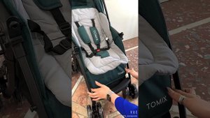 Детская коляска с перекидной ручкой Tomix Cosy V2