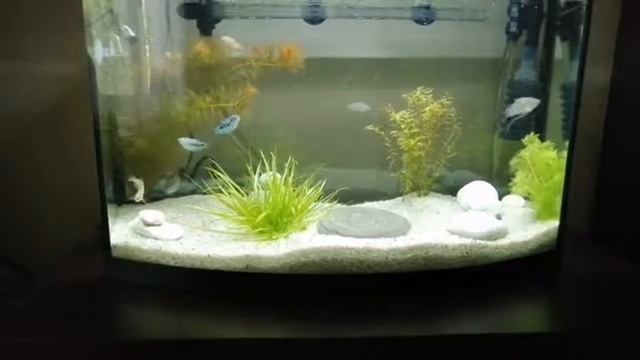 Установка аквариум по Фэн-шуй в Москве от профессионала смотреть онлайн