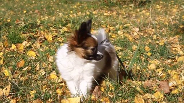 MVI 6400 смотреть онлайн