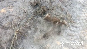 Коп МЕТАЛЛОЛОМА В МЕСТАХ МОРДОВИИ )))