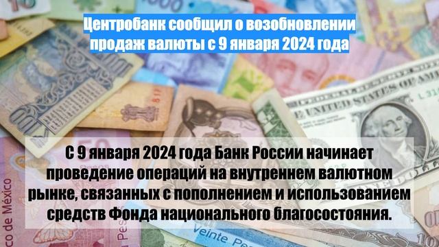 Центробанк сообщил о возобновлении продаж валюты с 9 января 2024 года