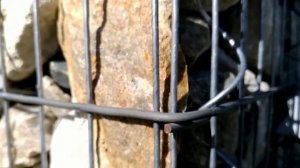 Габионы. 09. Забору два года.