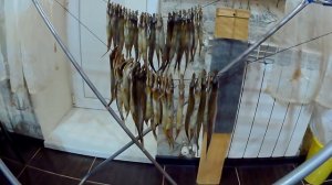 Вяленая мойва в домашних условиях, рецепт своими руками