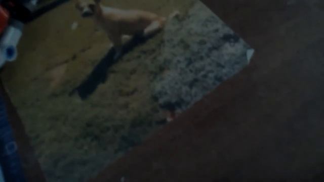 Продолжение обзора лего ниндзяго (погоня на мотоциклах) смотреть онлайн