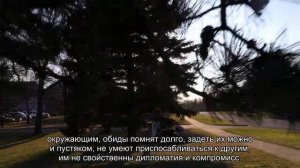 Значение имени Алина. Толкование, судьба, характер