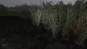 S.T.A.L.K.E.R. Вариант Омега 2. Холодное лето 2014-го. #3.