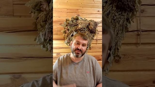 Урок 43. Коллективное парение  в Бане