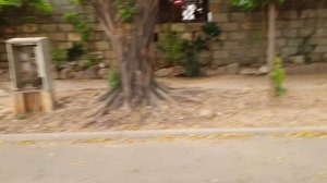 Прогулка по Абудже! Абуджа столица Нигерии