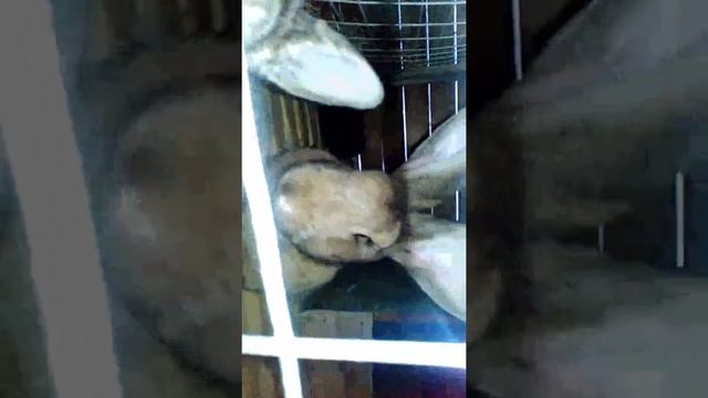 Дача хорошо смотреть онлайн