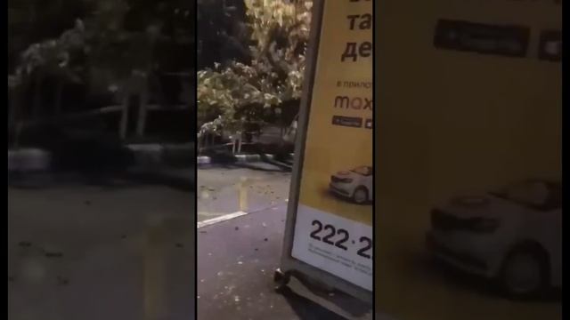 Штормовой ветер в Сочи повалил дерево на остановку с людьми смотреть онлайн