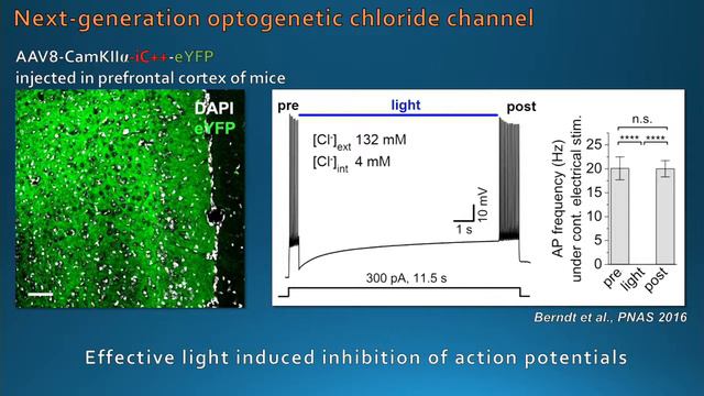 Andre Berndt | Showcase 2017 смотреть онлайн
