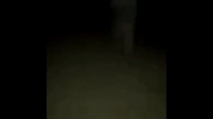 ЭТО Я ШАМИЛЬ 8K 60FPS???