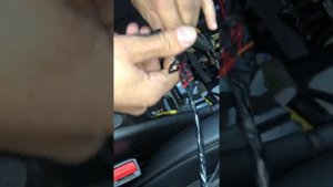 Установка Малибу Бар