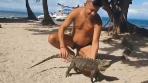 Iguana Island Cuba