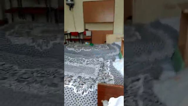 Дети бесятся в больнице! смотреть онлайн