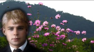 Стихи. Есенин. И вот я опять в дороге... Анна Снегина. Отрывок 🌲💕