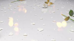 Футаж Белые розы