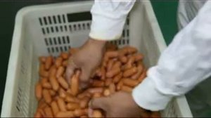 Делитель сосисок XIAOJIN RJJ01 видео по работе, разделение сосисочных гирлянд