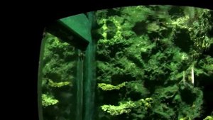 Vlog_11.3 Океанариум - Аквариум на Пхукете - Phuket Aquarium