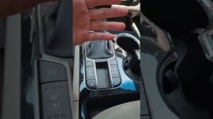 KIA CARNIVAL 2.2 CRDI AT PRESTIGE 9 SEATS: Краткий обзор