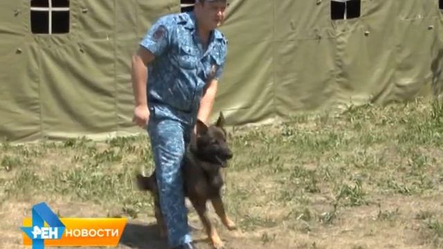 В Саратове выбрали лучшего кинолога смотреть онлайн