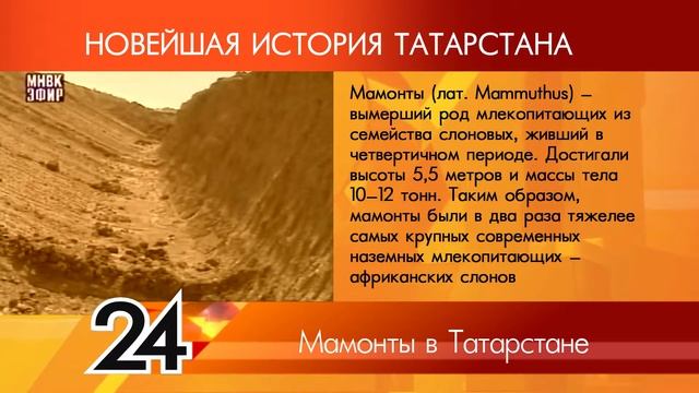 ИСТОРИЯ ТАТАРСТАНА - мамонты в Татарстане