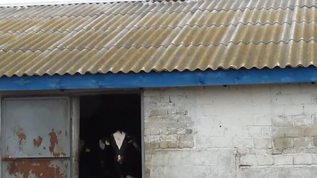 78.Ферма в белорусской деревне . farm.