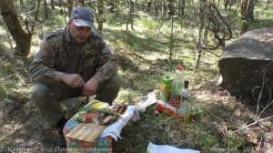 Металлокоп. Выпиваем с Земляным Дедом. Блоки в лесу. Эпилог.