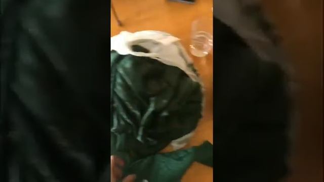 Sewing McGonagall Costume: Day 2 смотреть онлайн