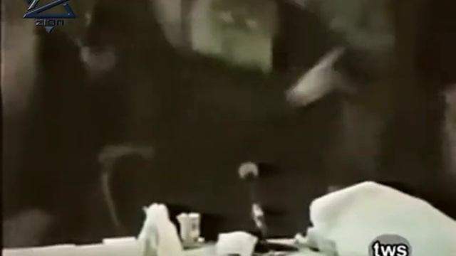 Сатанизм! Знак Зверя в паспорте гоев смотреть онлайн