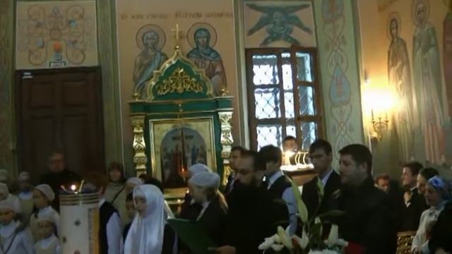 Како не дивимся