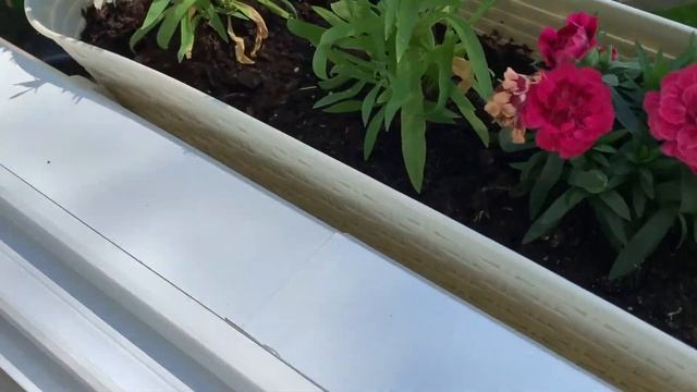 Раздвижное остекление.Внутренняя отделка балкона панелями .Балкон под ключ в СПБ.
