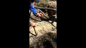 Как НАХОДЯТ в Австралии ЗОЛОТЫЕ САМОРОДКИ! В поисках сокровищ / In search of treasures