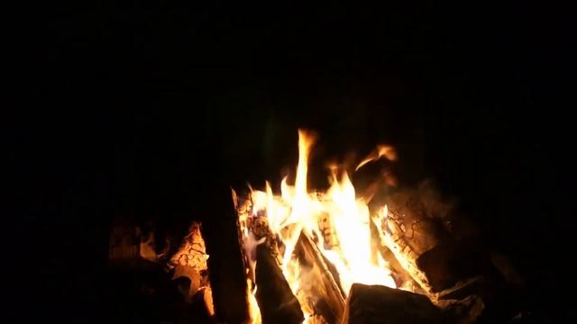 Страшные Истории - S.T.A.L.K.E.R. Химера смотреть онлайн