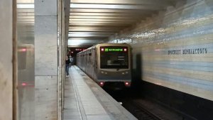 "зоопарк" номерной, русич и москва на Сокольнической линии.