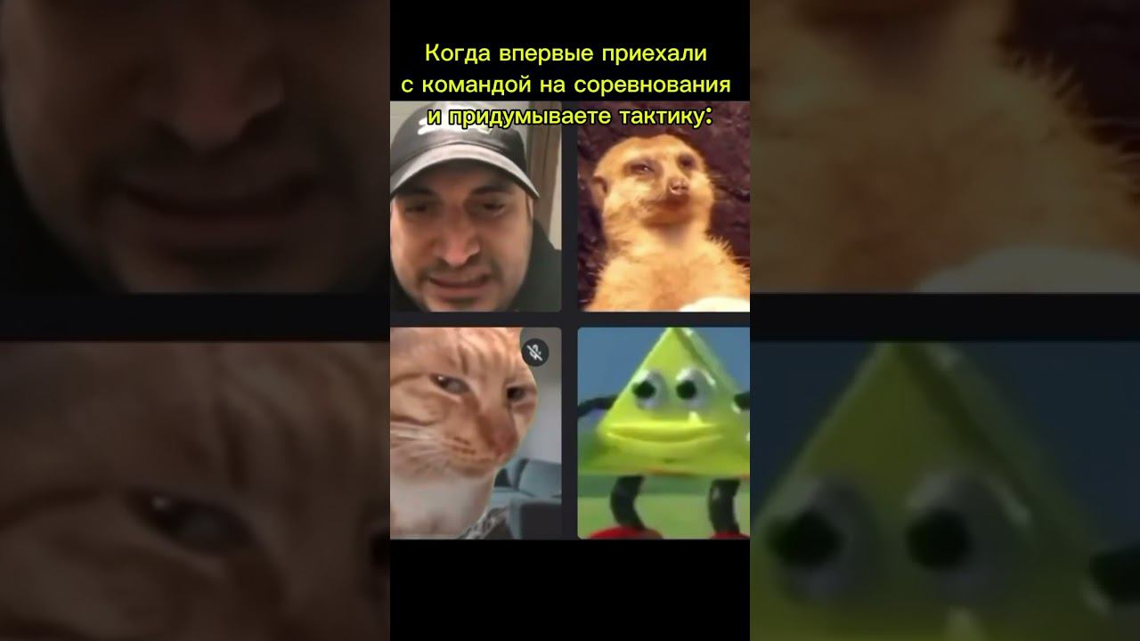 Жиза? #airsoftshorts #airsoftnation #страйкбол #meme смотреть онлайн