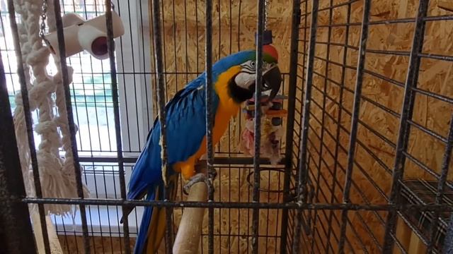 Эко-Парк Тайга/Источник/ Сравниваем с "Волной" смотреть онлайн