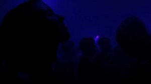 Eli & Fur - You're So High.mp4