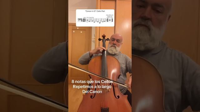 Las 8 notas de los Cellistas en el Canon de Pachelbel silvagram cameratapreciados cellista cano