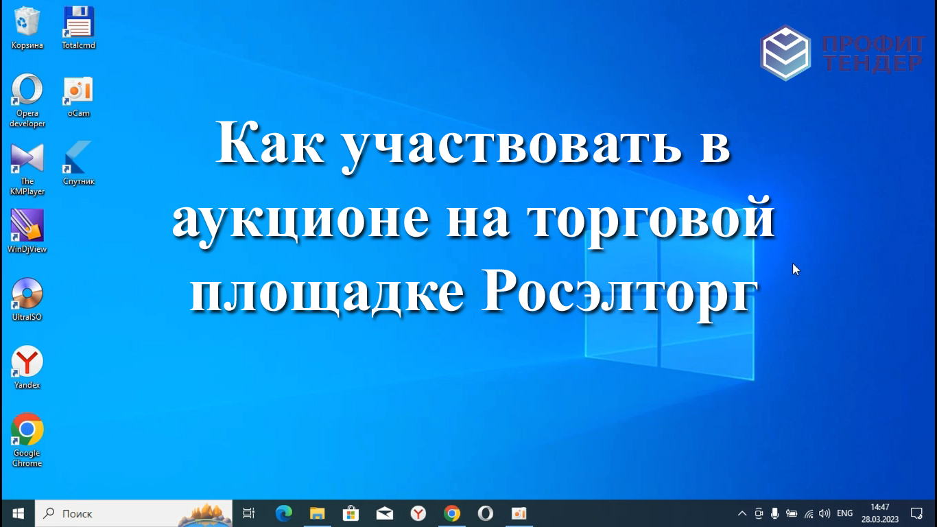 Как участвовать в аукционе на торговой площадке Росэлторг (roseltorg.ru)