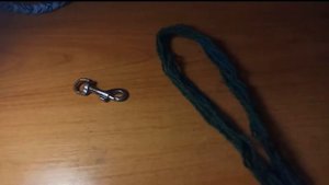 Поводок для собаки✌? легко и просто(Koda and Nadya)