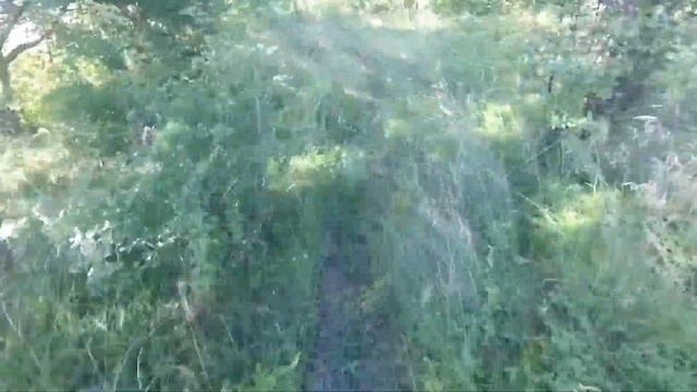 История мотоцикла + Покатушка смотреть онлайн